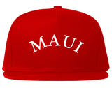 Maui Snapback Hat by Very Nice Clothing