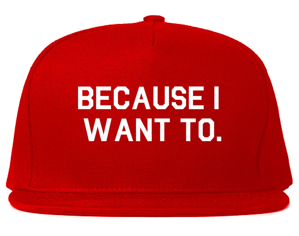 Very Nice Because I Want To Black Snapback Hat Red