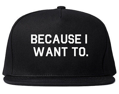 Very Nice Because I Want To Black Snapback Hat