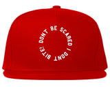 Don't Be Scared I Don't Bite Racoons Snapback Hat by Very Nice Clothing