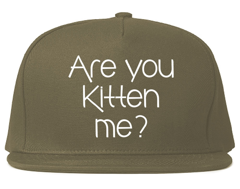 Very Nice Are You Kitten Me Cats Black Snapback Hat