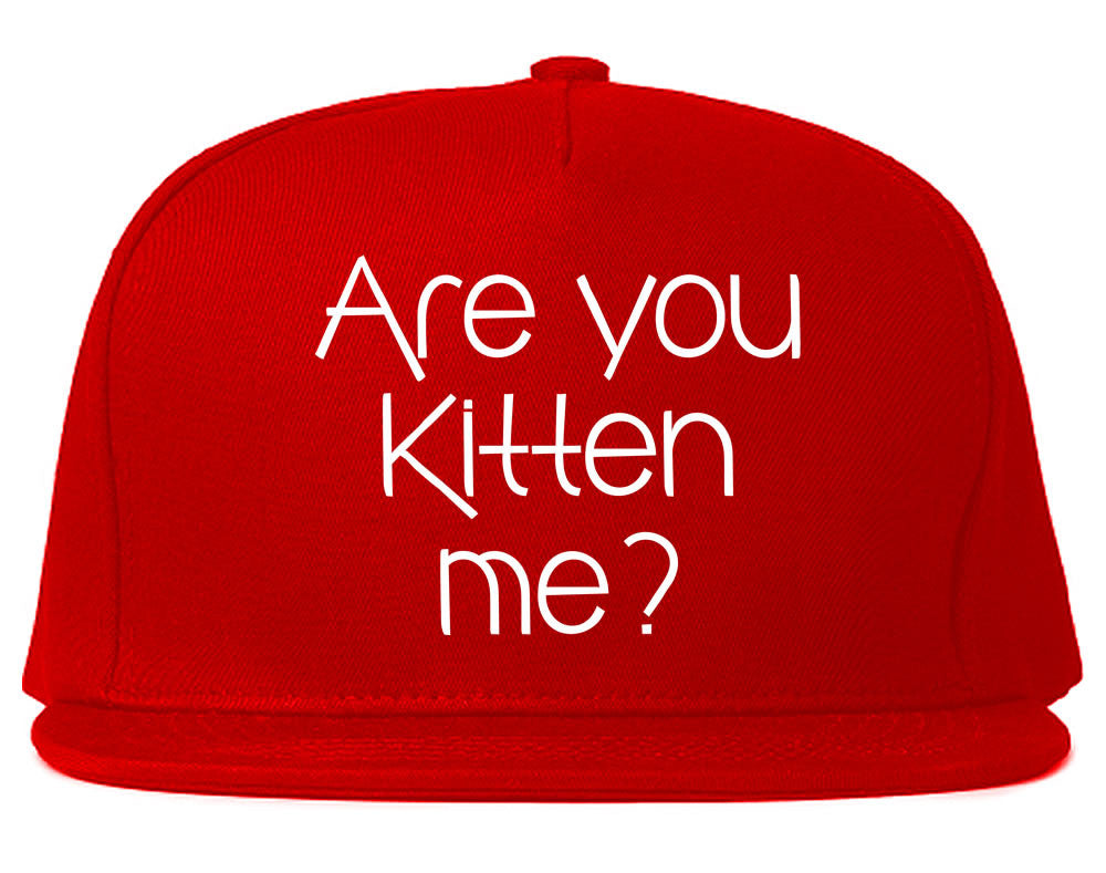 Very Nice Are You Kitten Me Cats Black Snapback Hat Red